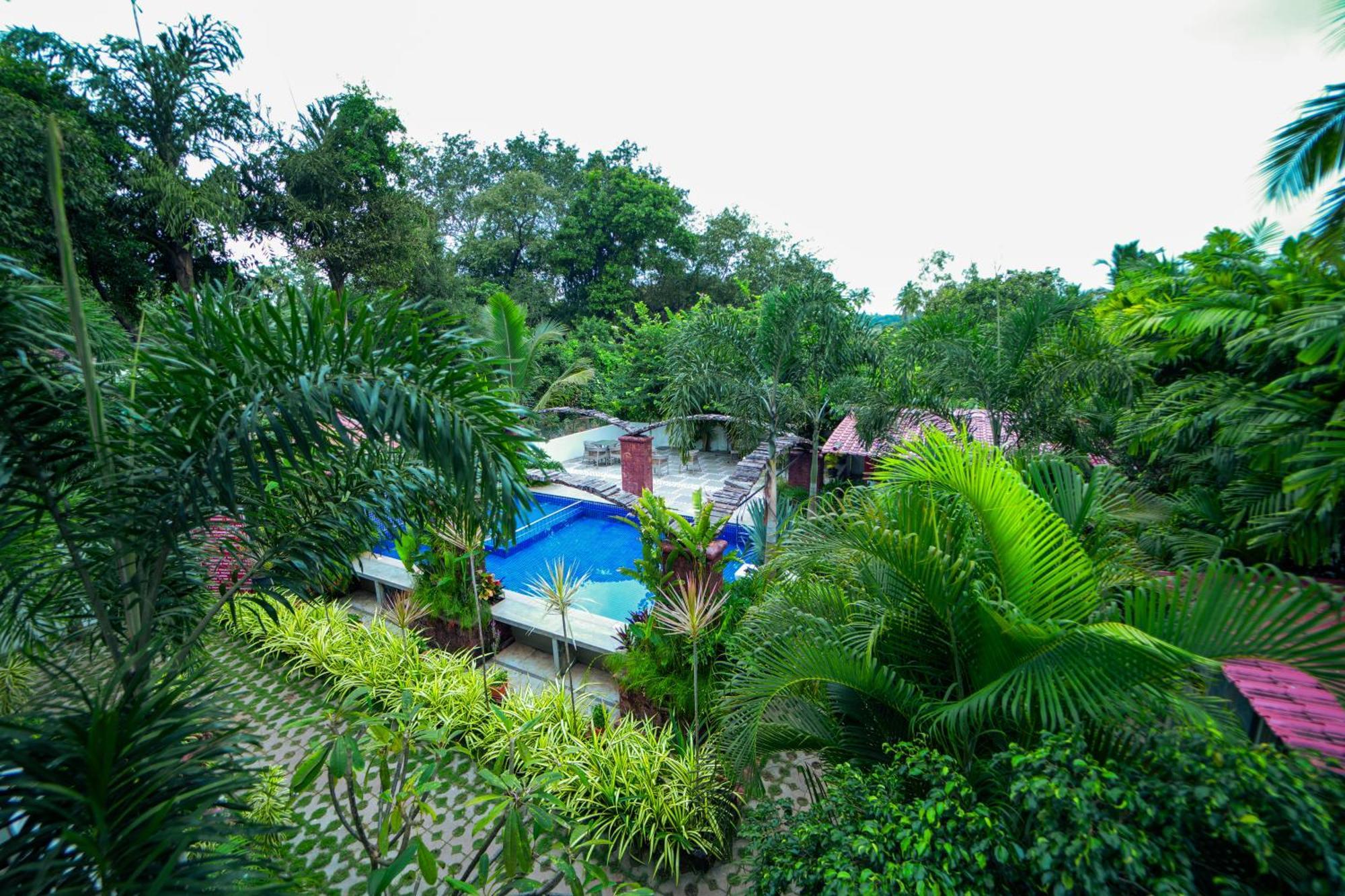 Hola Amigos Stays Anjuna Ngoại thất bức ảnh